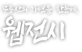 무등산의 자연을 한눈에, 웹전시