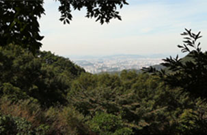 사진13