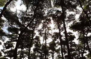 사진15