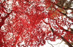 사진20