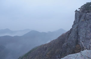 사진7